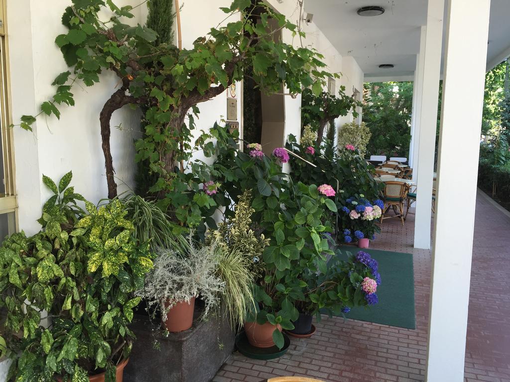 Hotel Villa Verde San Mauro Mare Екстериор снимка